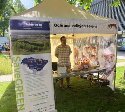 THE SAVEGREEN PROJECT HELPS TO PROTECT LARGE CARNIVORES IN BESKYDY