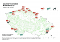 The annual wolf monitoring confirms two new wolf territories in the Czech Republic