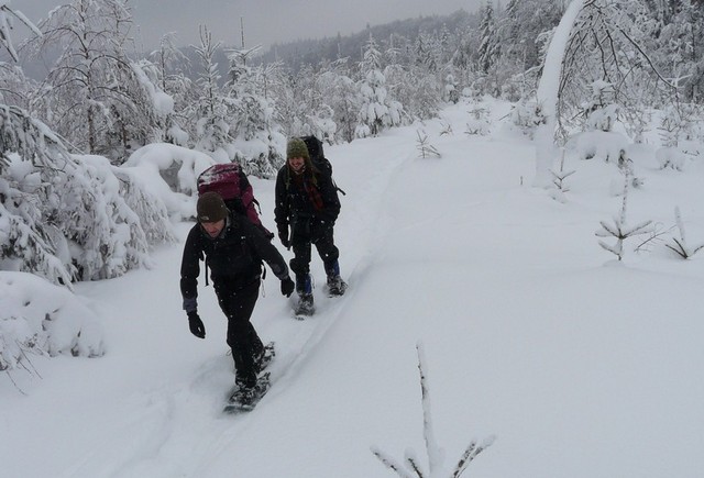 Members of Wolf Patrols walking through the snow-covered landscape