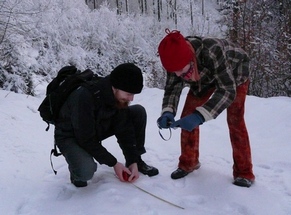 Volunteers documenting lynx footprints