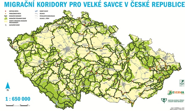 Map of wildlife corridors in the Czech Republic