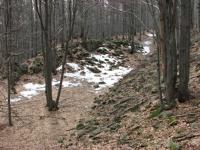 IMG_0309_m.jpg