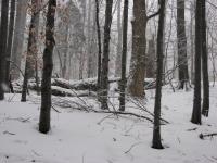 IMG_0472_m.jpg