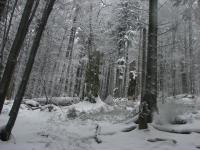 IMG_0298_m.jpg
